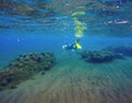 Underwater landscape with snorkeling man and coral reef. Sea bottom with sand and seaweeds