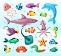 Underwater life, fish colorful flat vector illustration