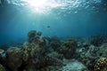 Underwater life of Sipadan Island