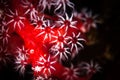 Underwater macro life in the Lembeh Straits of Indonesia Royalty Free Stock Photo