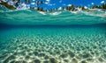 Underwater magic: Split view of sunlit sea and underwater scene Royalty Free Stock Photo