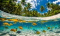 Underwater magic: Split view of sunlit sea and vibrant underwater scene