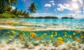 Underwater magic: Split view of sunlit sea and vibrant underwater scene