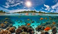 Underwater magic: Split view of sunlit sea and vibrant underwater scene Royalty Free Stock Photo