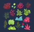 Underwater marine flora set. Marine aquarium flora, aqua plants, coral reef underwater seaweed ocean plants phytoplankton, algae Royalty Free Stock Photo