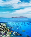 Underwater marine life of the Red Sea and blue sky. Colorful coral reef fishes and reefs Royalty Free Stock Photo