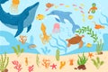 Underwater marine life, vector illustration. Tropical sea fish, dolphin, octopus swim at coral nature, ocean reef Royalty Free Stock Photo