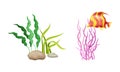 Underwater marine plants and fish. Algae seaweeds, aquarium flora and fauna cartoon vector illustration