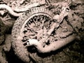 Underwater motorcycle wheel wreck at red sea Egypt