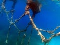 Underwater mystery photography, deep sea