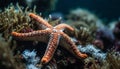 Underwater nature reveals animal reef with starfish, fish, and coral generated by AI