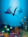 Underwater nature - sea, freediver, mantas, coral reef, fishes