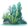 Underwater nature seaweed