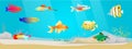 Underwater ocean world with exotic fishes. Ocean bottom with marine life, school of tropical fish