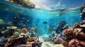 underwater in ocean scuba diving ,sea plant and fish,under sea water ,green blue wave sunlight reflection in ocean