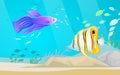 Underwater ocean world with exotic fishes. Ocean bottom with marine life, school of tropical fish Royalty Free Stock Photo