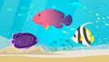 Underwater ocean world with exotic fishes. Ocean bottom with marine life, school of tropical fish Royalty Free Stock Photo