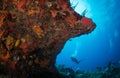 Underwater off the Dutch Caribbean island of Sint Eustatius Royalty Free Stock Photo