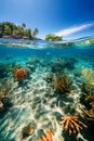 Underwater and overwater views sea life, beach and sky on a sunny day