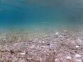 Underwater Pebbles rivers and lakes freshwater water surface.