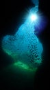 Rays of light in underwater cave Royalty Free Stock Photo