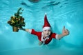 Underwater photo with a Christmas tree of a cheerful little boy in a Santa Claus costume. He dives to the bottom of the