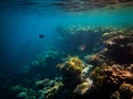 Underwater photo of coral reefs and few Sergeant major fishes in red sea Royalty Free Stock Photo