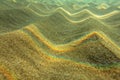 Underwater photo - light refracted on sea surface forming rainbows on small sand 