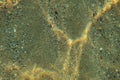 Underwater photo, shallow sea bottom floor seen from top, light refraction making rainbow glares on sand. Abstract marine Royalty Free Stock Photo