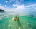 Underwater photo of woman swimming in ocean. View from the back. Split view cross section of sea water and blue sky