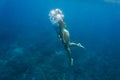 underwater photo of young woman Royalty Free Stock Photo