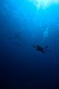 An underwater photographer