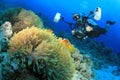 Underwater Photographer and Clownfish