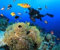 Underwater Photographer and Clownfish