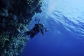 Underwater Photographer at a Reef in Egypt