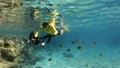 Underwater photographer snorkeling