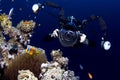 Underwater Photographer taking a photo