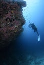 Underwater Photographer Taking a Photo in Maldives