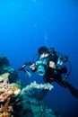 Underwater photography photographer diver scuba diving bunaken indonesia reef ocean Royalty Free Stock Photo