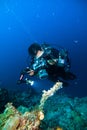 Underwater photography photographer diver scuba diving bunaken indonesia reef ocean Royalty Free Stock Photo