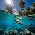 underwater photography of a sea turtle, island with palm trees.