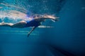 underwater picture of young female swimmer exercising Royalty Free Stock Photo