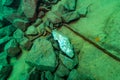 Underwater pile of virgin iron ore with one shiny ingot lost in shipwreck