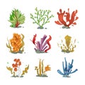 Underwater plants in cartoon vector style