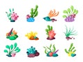 Underwater plants. seaweed and seashells from ocean or sea life tropical laminaria exotic leaves in aquarium. vector set