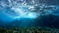 Underwater rays of light breaking through the waves