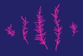 Underwater red seaweed plants set. Cartoon seaware vector illustration, sea alga collection, isolated on blue background