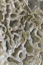 Underwater Rock Texture With Random Squiggle Shapes Formed Over Volcanic Interruption