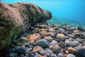 Underwater Rocks and Pebbles on the Seabed Royalty Free Stock Photo