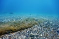 Underwater Rocks and Pebbles on the Seabed Royalty Free Stock Photo